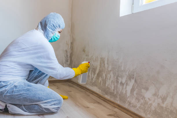Licensed Commercial Mold Remediation service in Denton, TX - Mold Remediation HQ