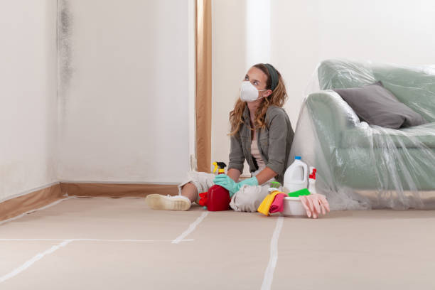 Reliable Commercial Mold Remediation contractor in Denton, TX by Mold Remediation HQ