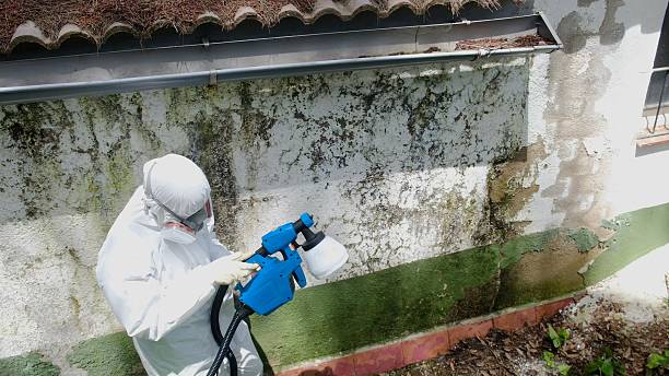 Top rated local Commercial Mold Remediation specialists in Denton, TX